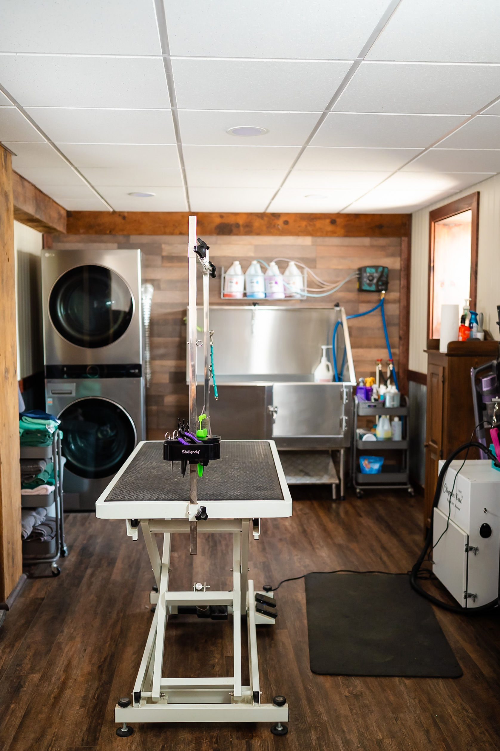 Discount home grooming salon Shop